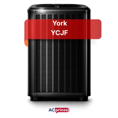 York YCJF Review
